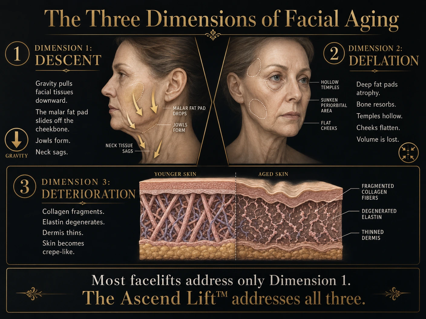 The Three Dimensions of Facial Aging: Descent (tissue dropping), Deflation (volume loss), and Deterioration (skin quality decline) — explained by Dr. Shim Ching, Honolulu Hawaii
