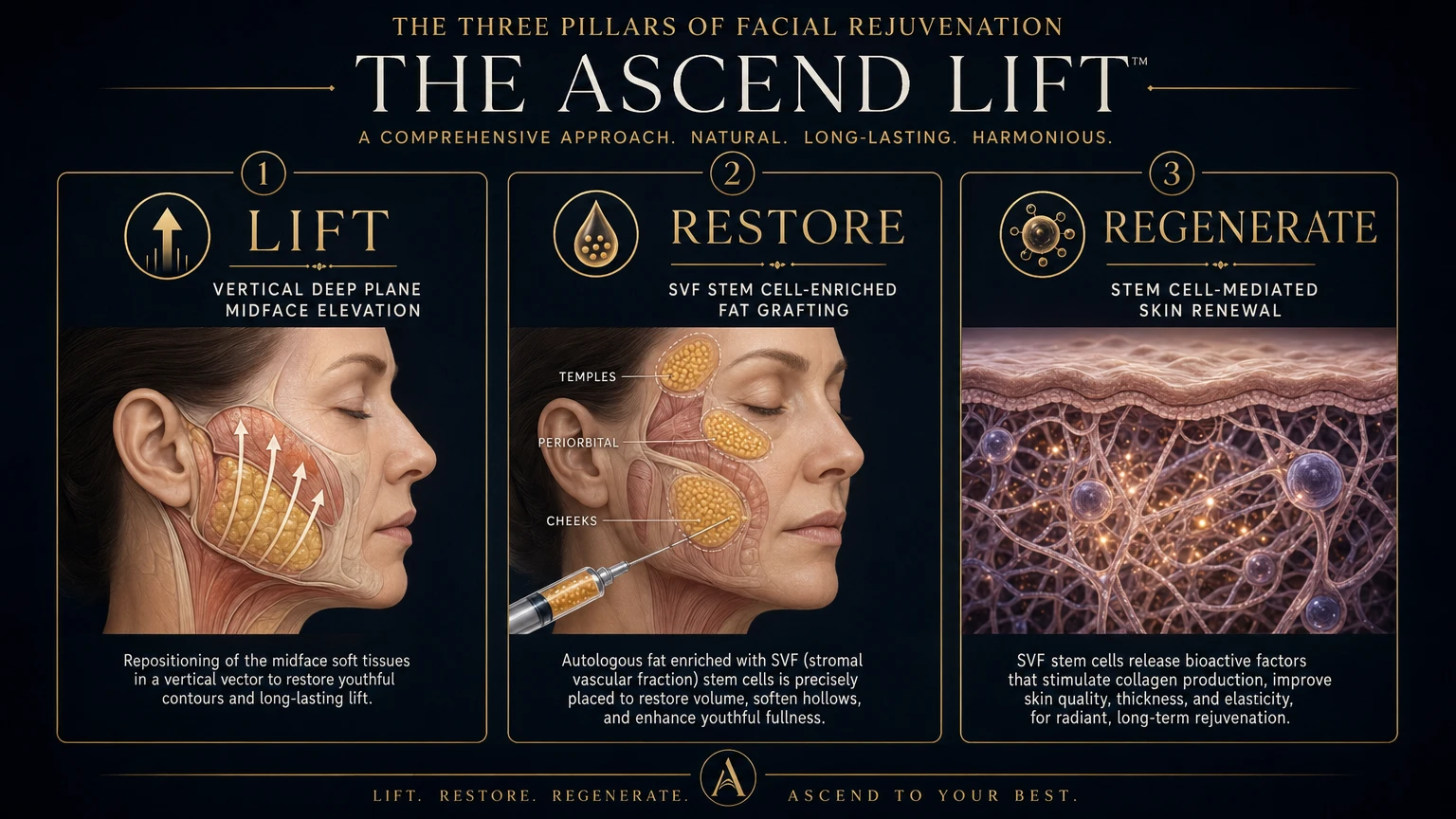 The Ascend Lift Three Pillars: Lift (vertical deep plane midface elevation), Restore (SVF stem cell-enriched fat grafting), Regenerate (stem cell-mediated skin renewal) — Dr. Shim Ching, Honolulu Hawaii